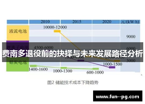 费南多退役前的抉择与未来发展路径分析 费南多退役前的抉择与未来发展路径分析